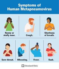 Symptoms of HMPV Virus