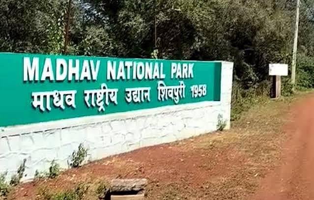 Madhav Tiger Reserve