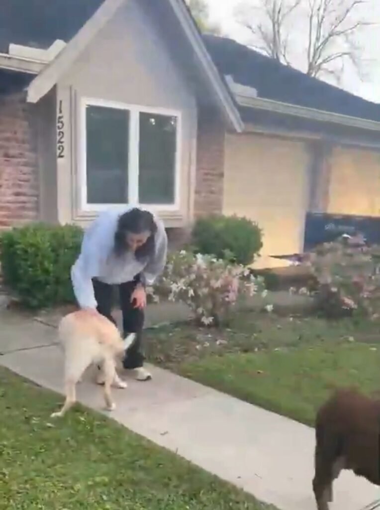 Astronaut Sunita Williams meets her dogs on her return home