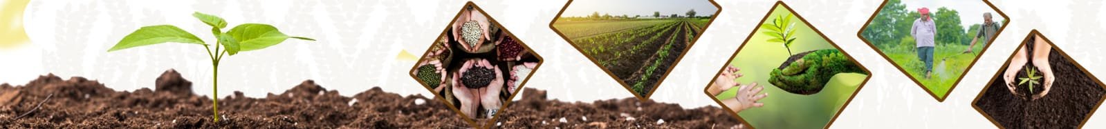 Image Courtesy:agriwelfare.gov.in
