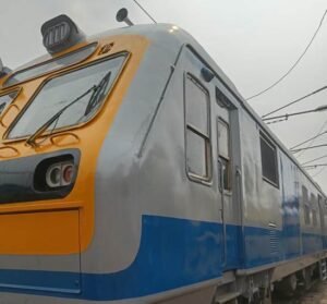 Upgraded DEMU rake
