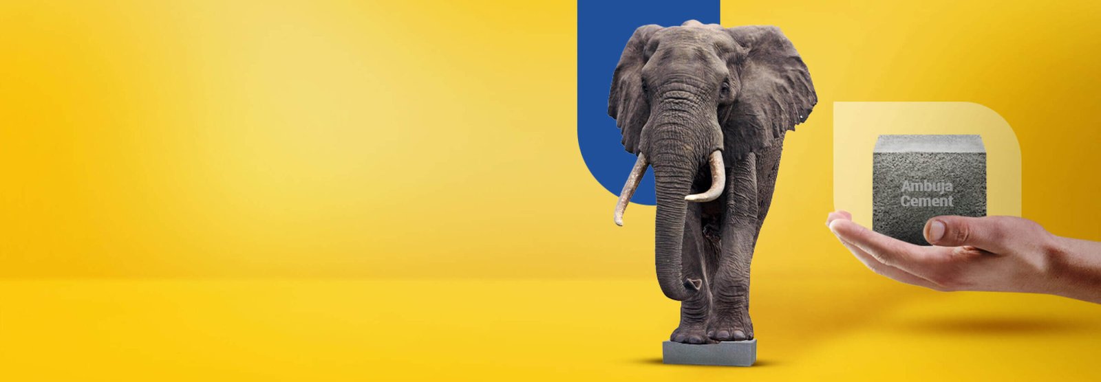 Image Courtesy: ambujahelp.in