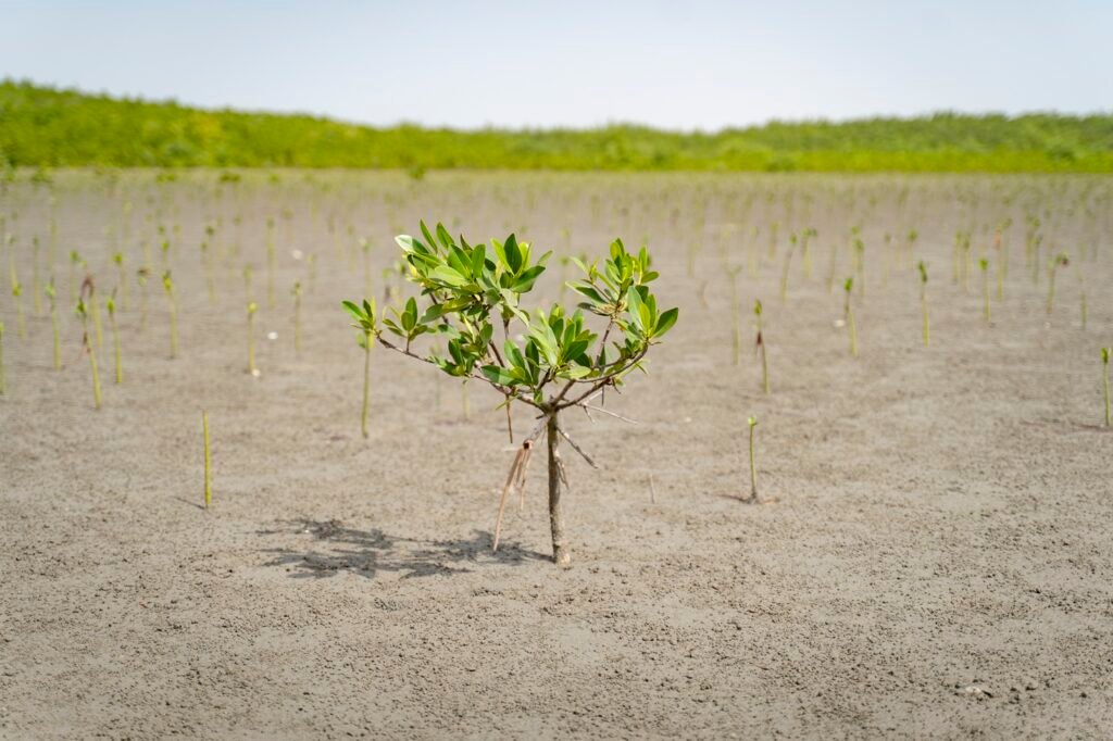 UNEP Warns Of Deepening Adaptation Finance Gap As Climate Impacts Escalate UNEP Warns Of Deepening Adaptation Finance Gap As Climate Impacts Escalate