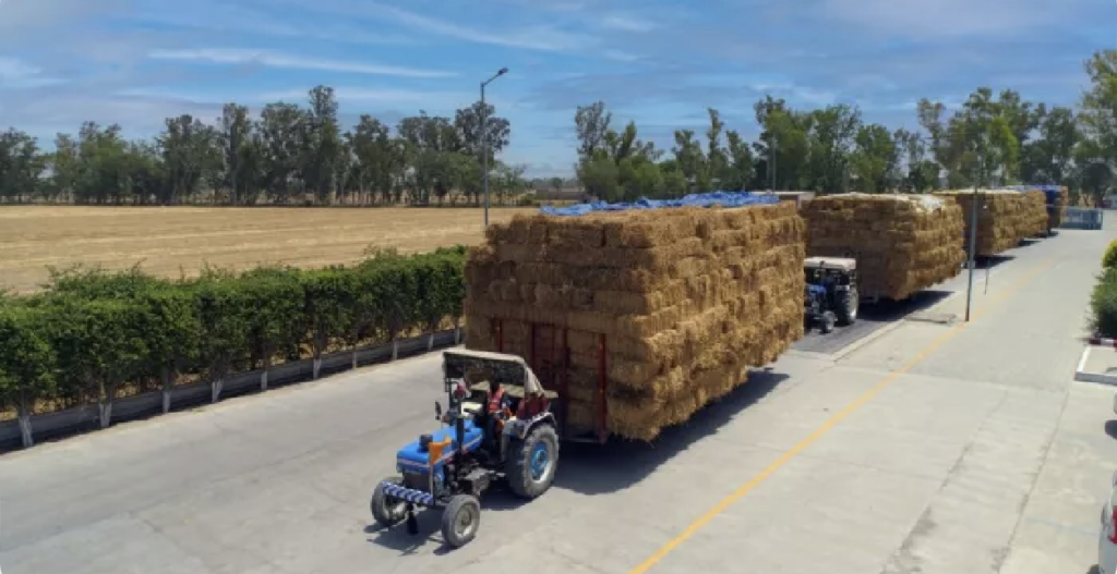 SAEL to Procure 20 Lakh Tonnes of Paddy Stubble this Season Via Aggregator, Aims to Convert Waste into Clean Energy and Curb Pollution from Stubble Burning SAEL to Procure 20 Lakh Tonnes of Paddy Stubble this Season Via Aggregator, Aims to Convert Waste into Clean Energy and Curb Pollution from Stubble Burning