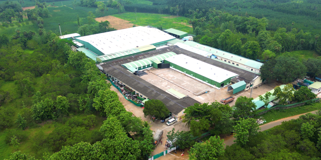 Pajson Agro Appoints Vietham Cashew Pioneer Vu Thai Son as Strategic Advisor to Accelerate Global Growth Strategy