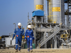 Vedanta Oil and Gas Limited