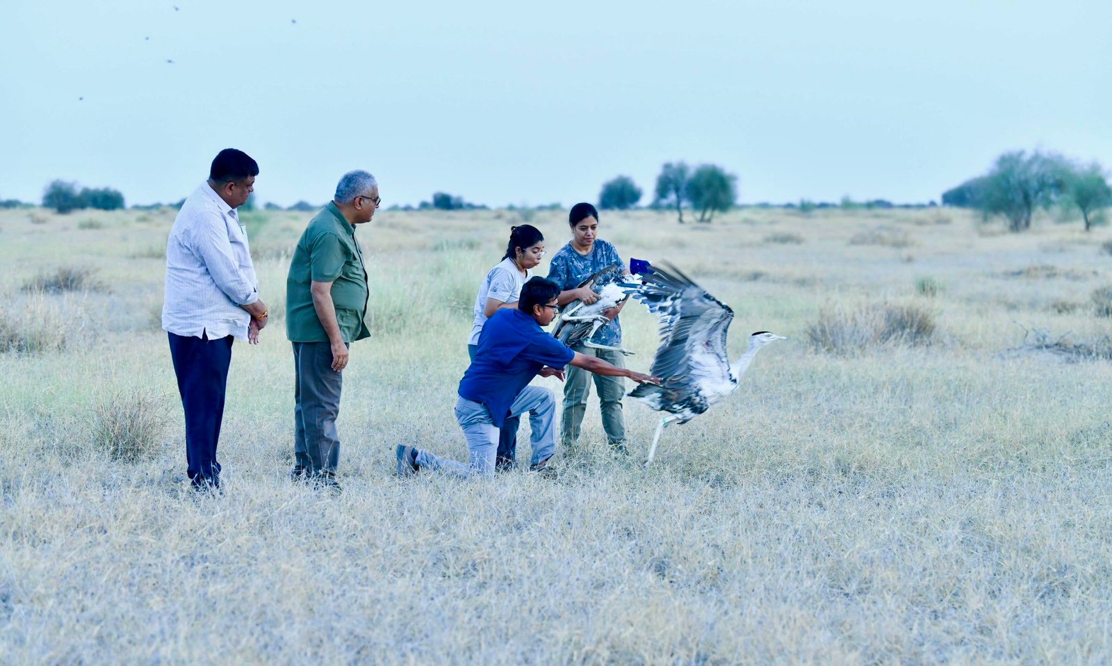 Bhupender Yadav Releases Two Male Great Indian Bustards into the wild at Desert National Park
