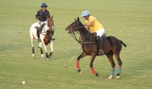 Jindal Polo Estate’s 2026 Season Begins in Noida on a High as Jindal Panther Beats Sujan 12-6