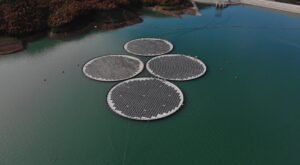 Tata Power partners with Norway’s Ocean Sun to bring innovative membrane-based floating solar technology to India