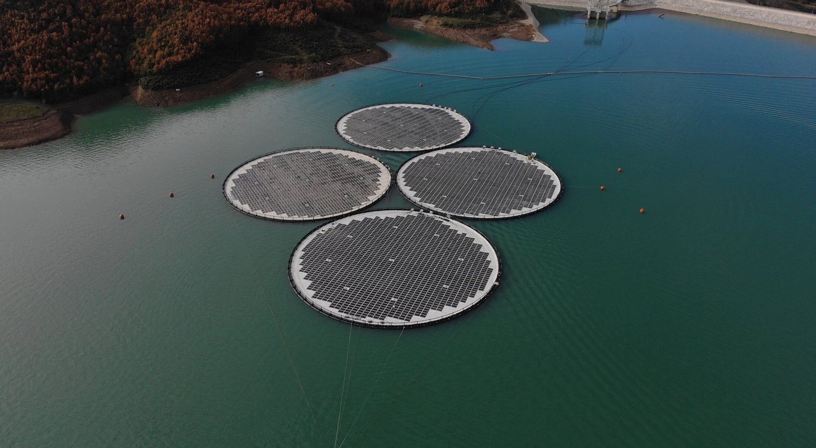 Tata Power partners with Norway’s Ocean Sun to bring innovative membrane-based floating solar technology to India